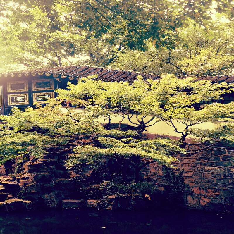 顿悟觉醒
