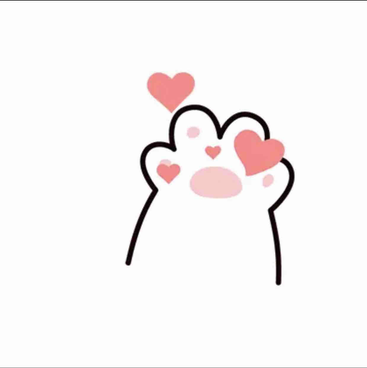 小白