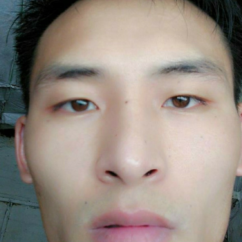 宏图高科