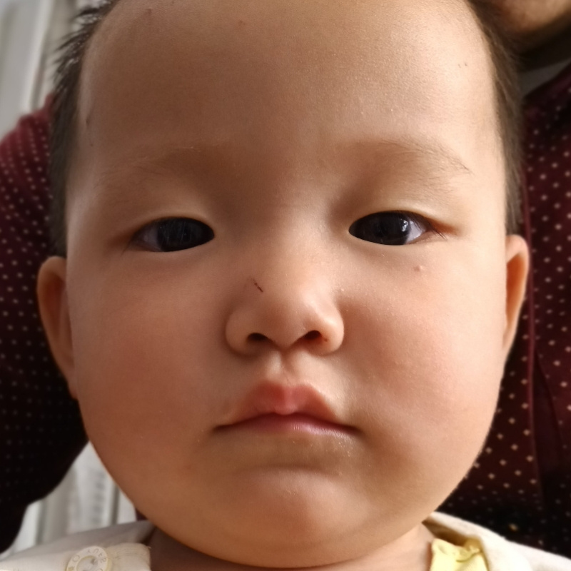 虎子666999