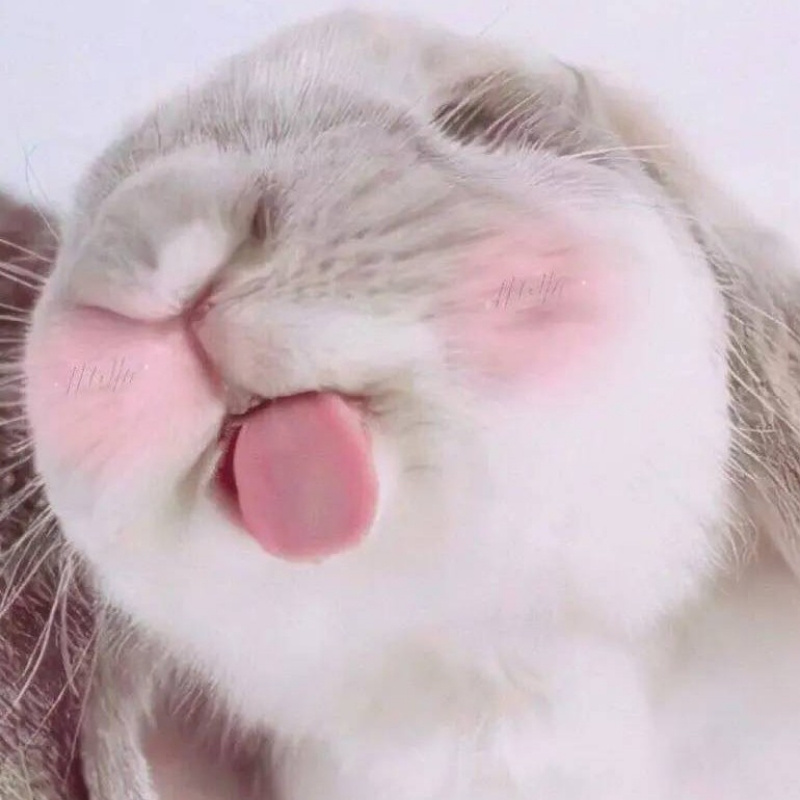 媛酱只喝冷牛奶♥