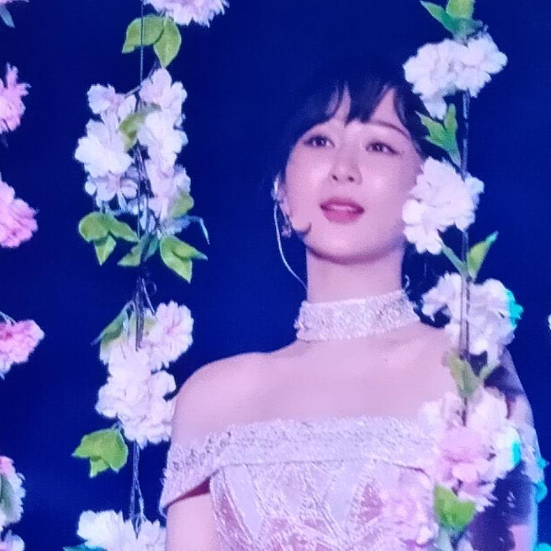 小猴子——