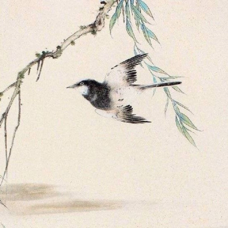 极目远眺120127