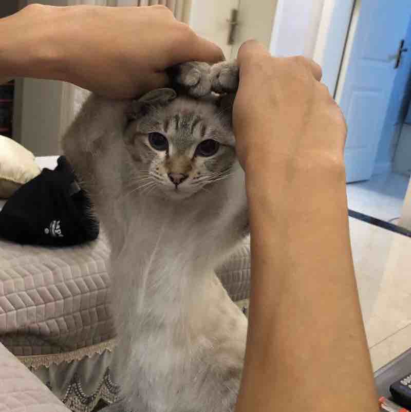 嗯星河