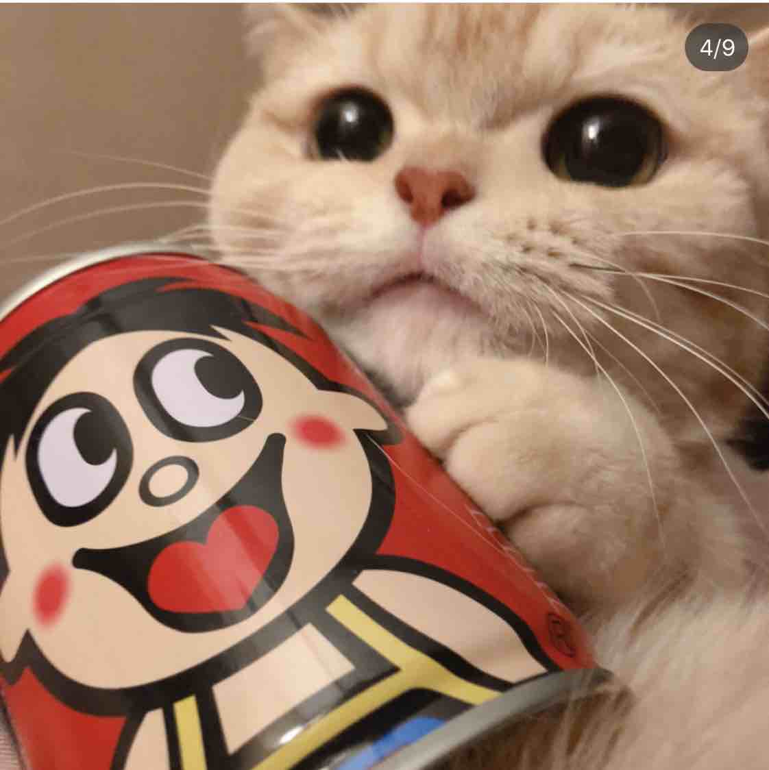 Y?