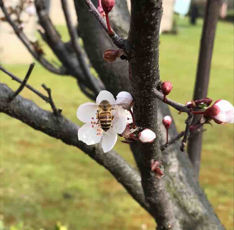 游戏人间
