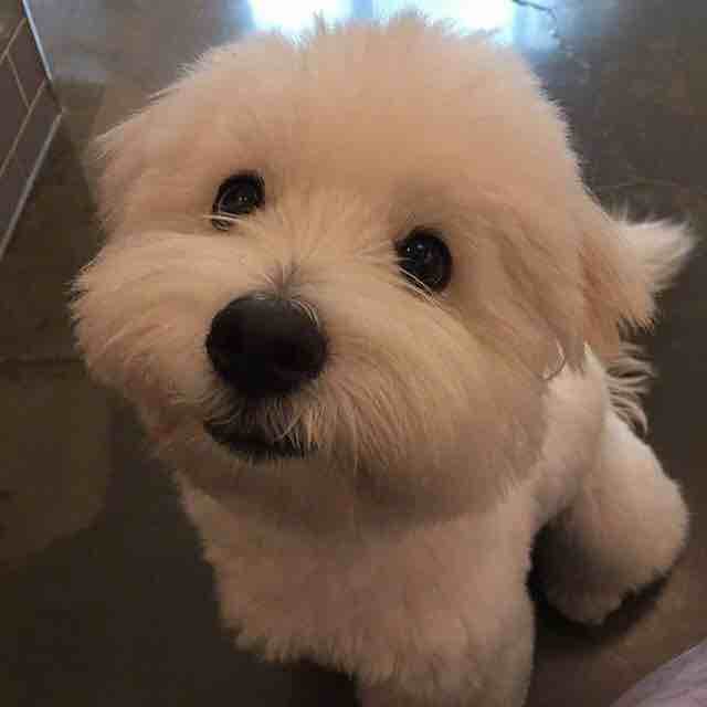 Ritaaaaaaaaaaa