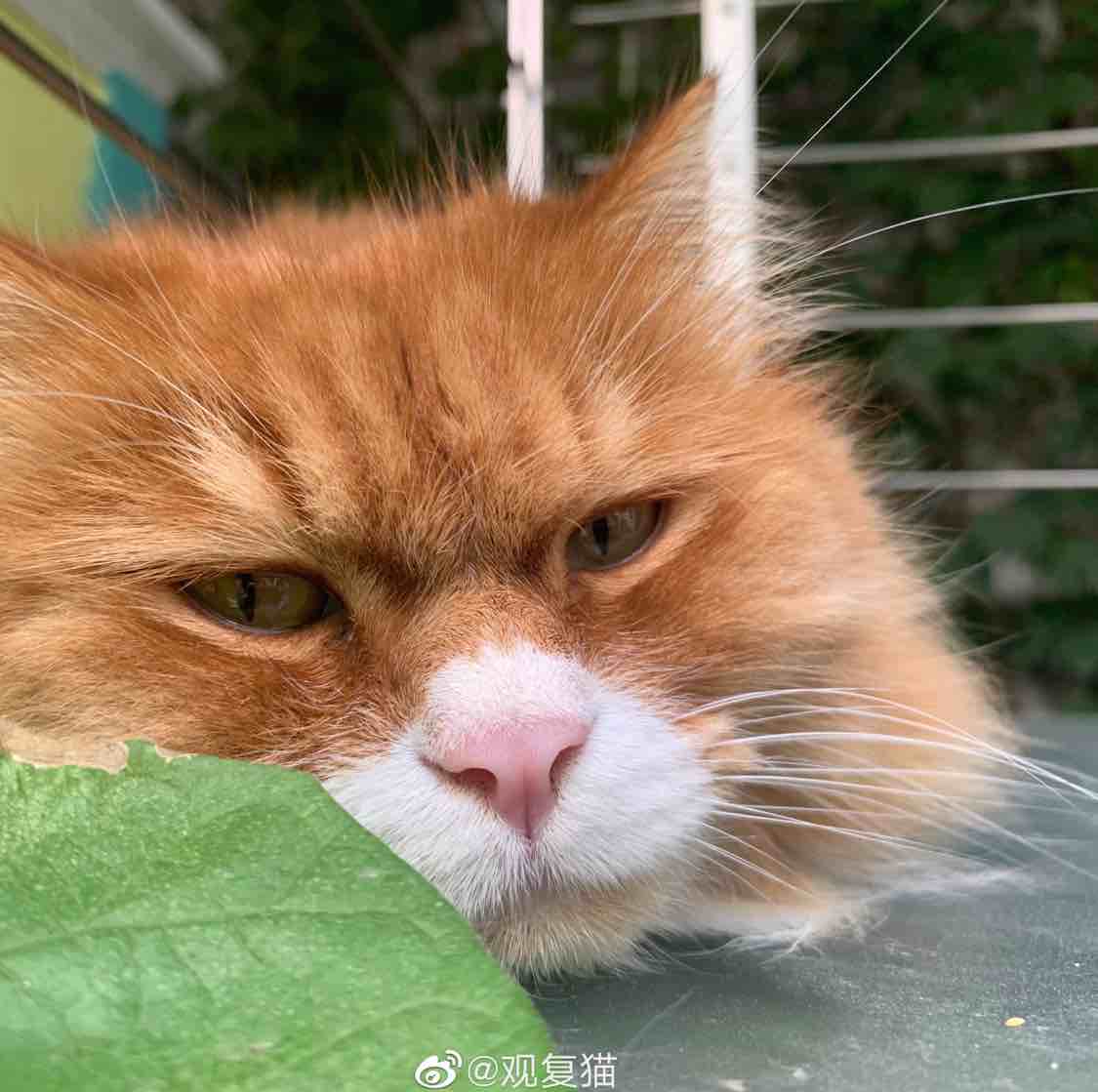 独立思考很重要