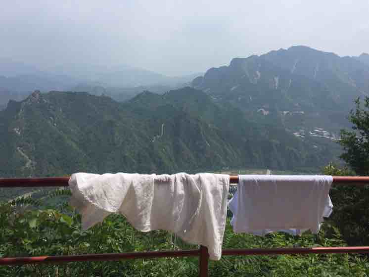时常想起的唐之韵