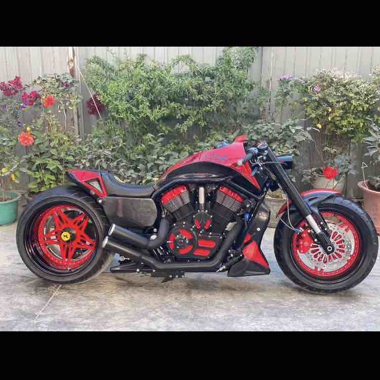 133xxxx6699