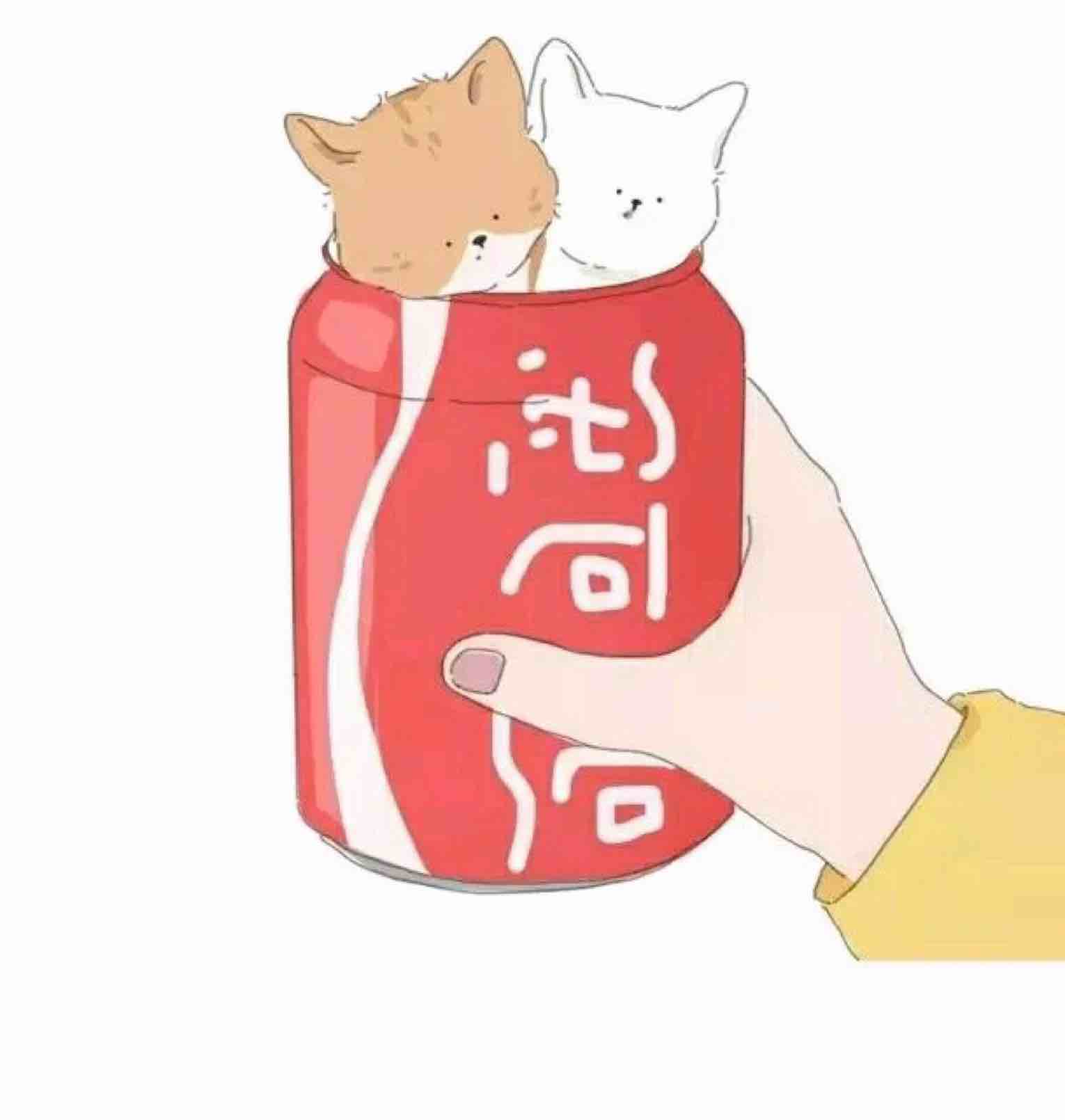 佳佳认可