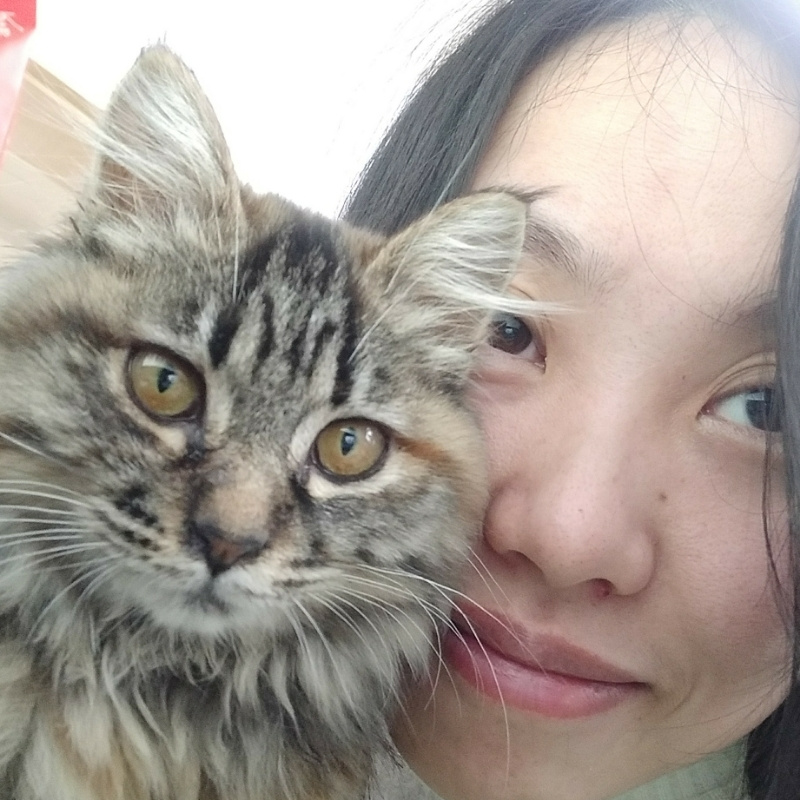 肉肉兔兔小黑咪