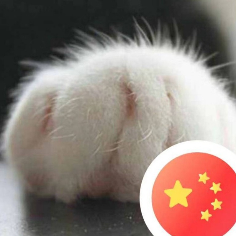 破过的壳