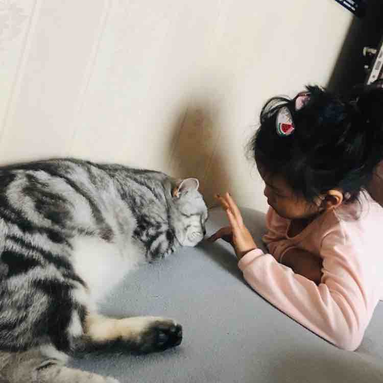 黑可乐毛可乐