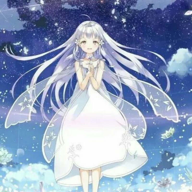 芳鸽缠绵
