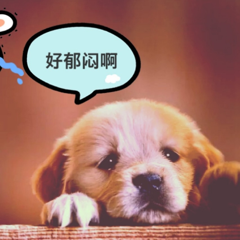 小婉六