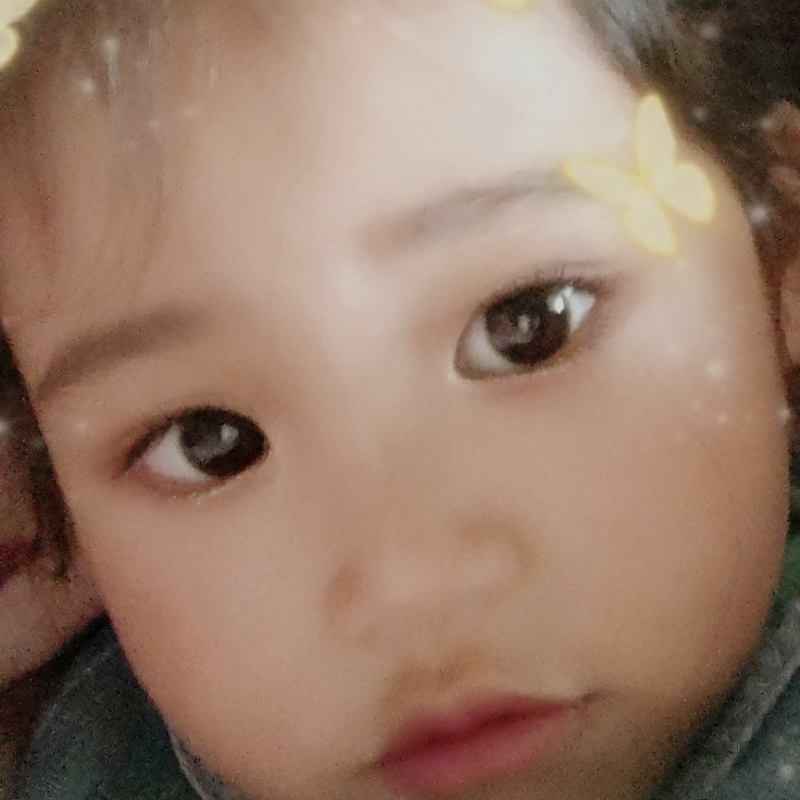 ﹏天使与海豚