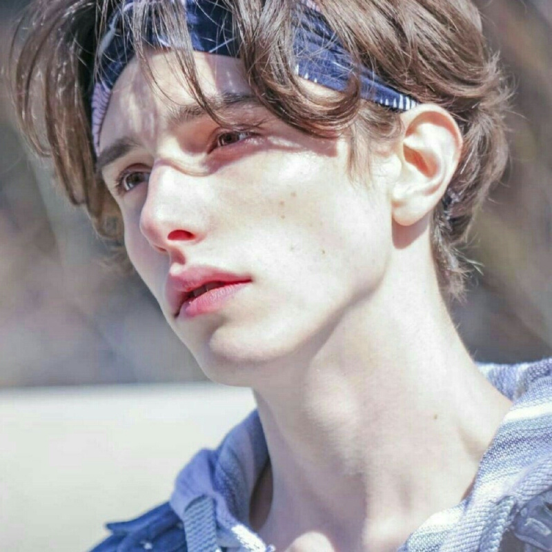 爱吃橘子的肥猫