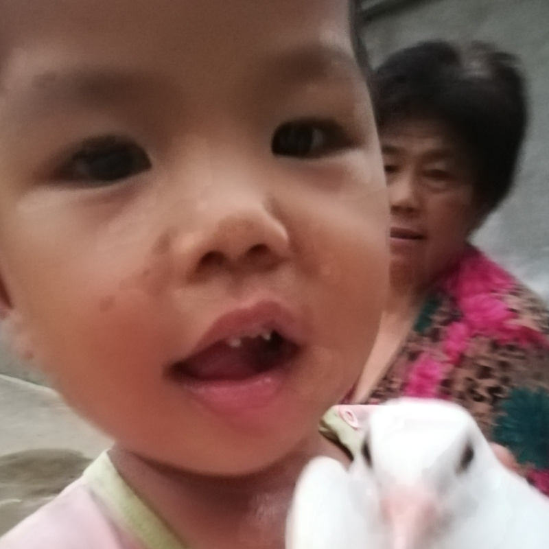 成成爱灏灏