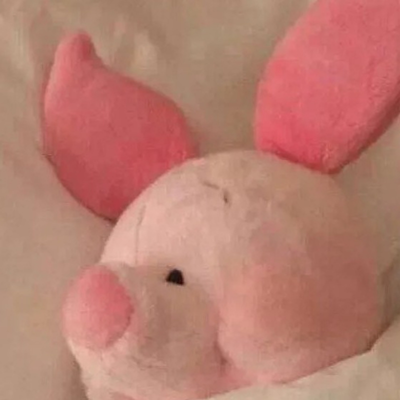 哈喽oooo