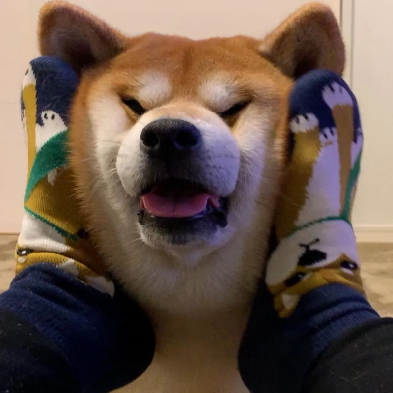 5duoduo