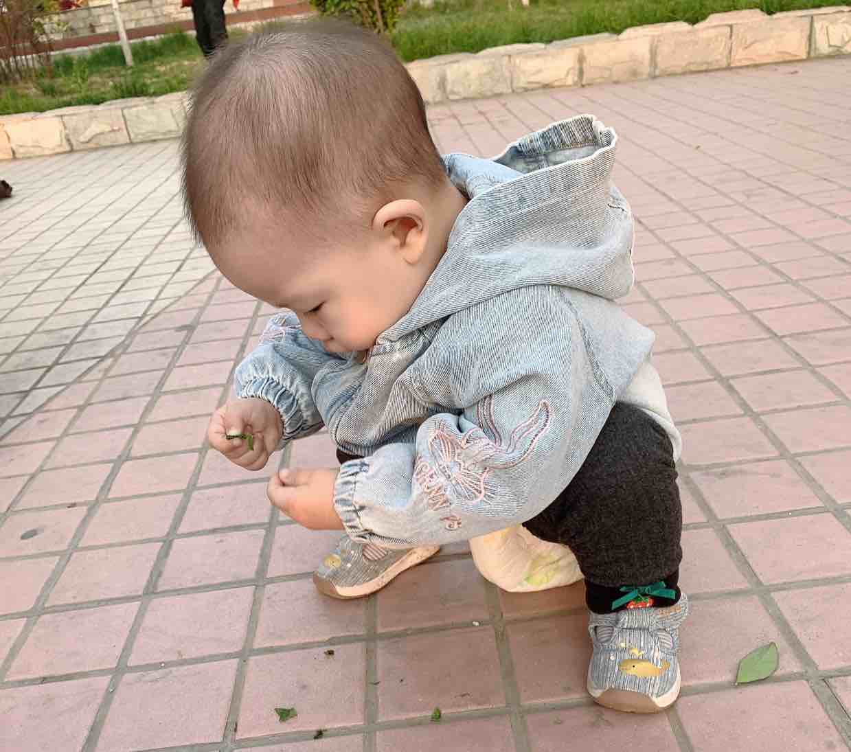 迎风！