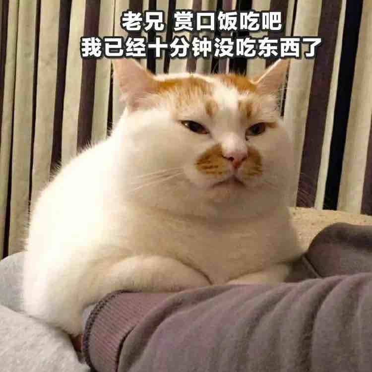 用缝纫机上网