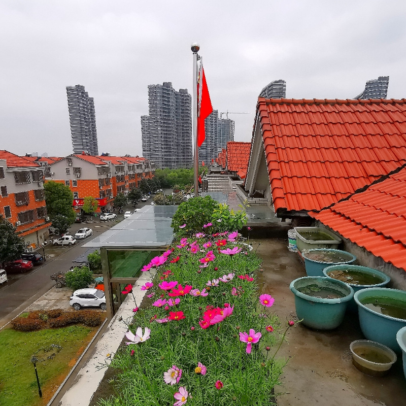 桐雨倾听