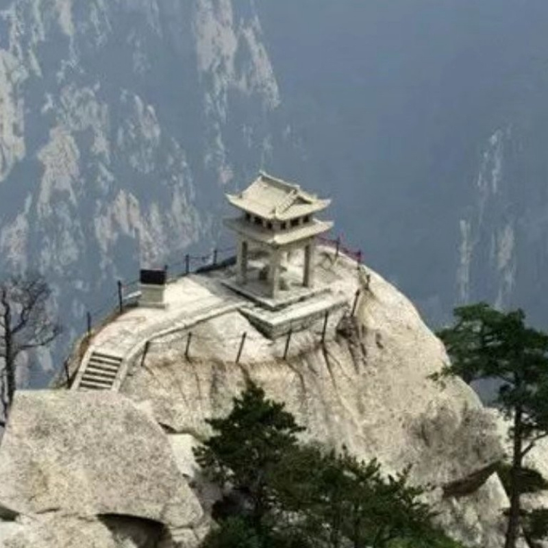 高原一枝蒿