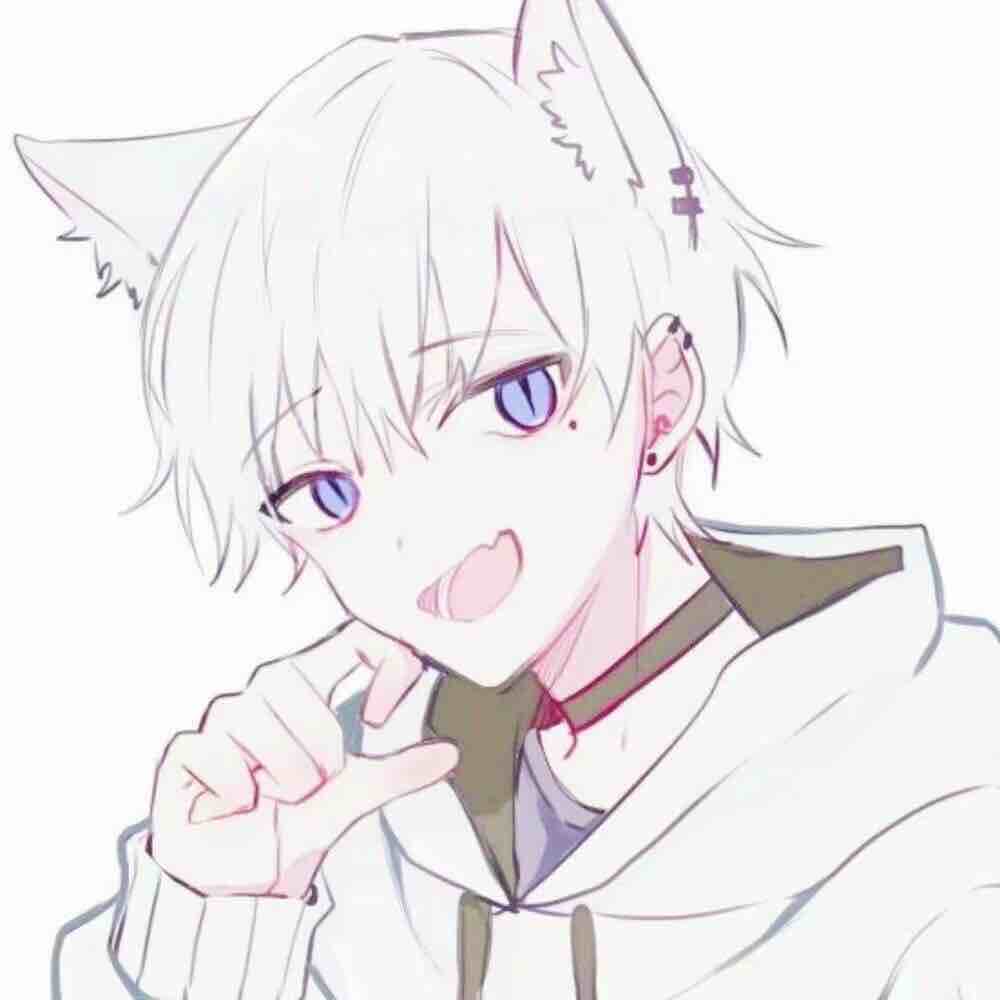 「南鸢」