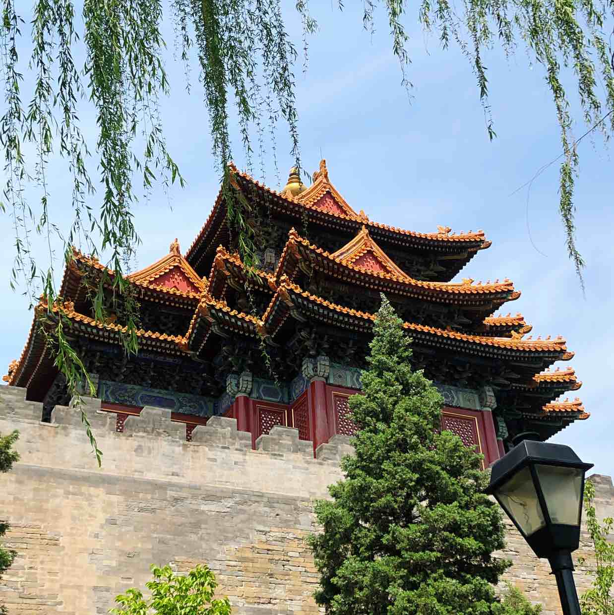 木木