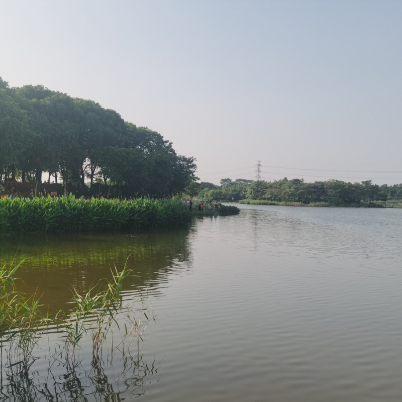 龙林138
