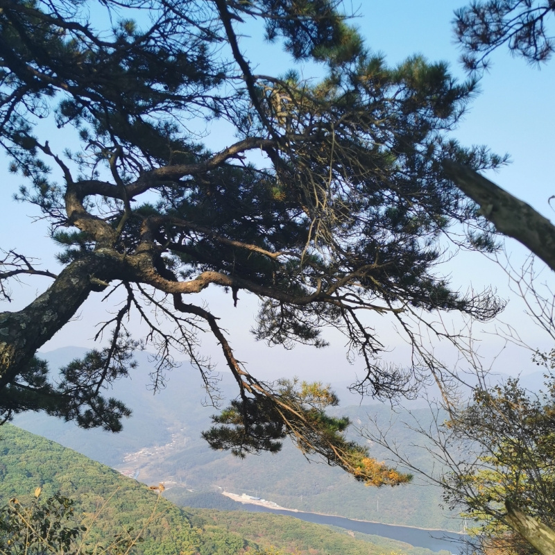 王新