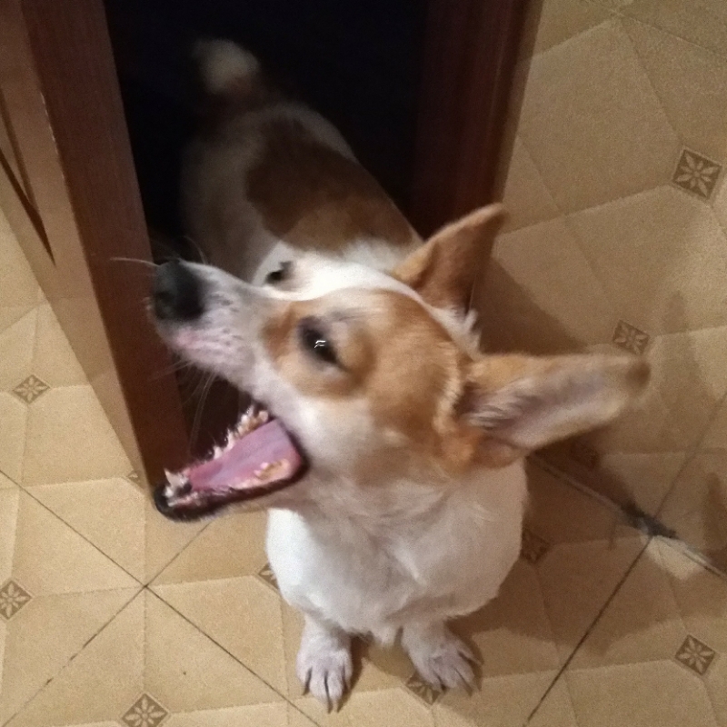峰哥666666gu