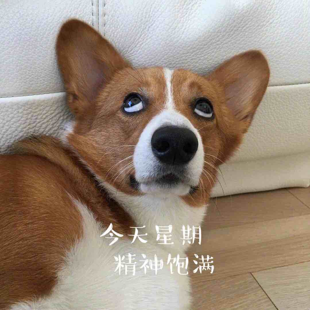 不愿透露姓名土女士