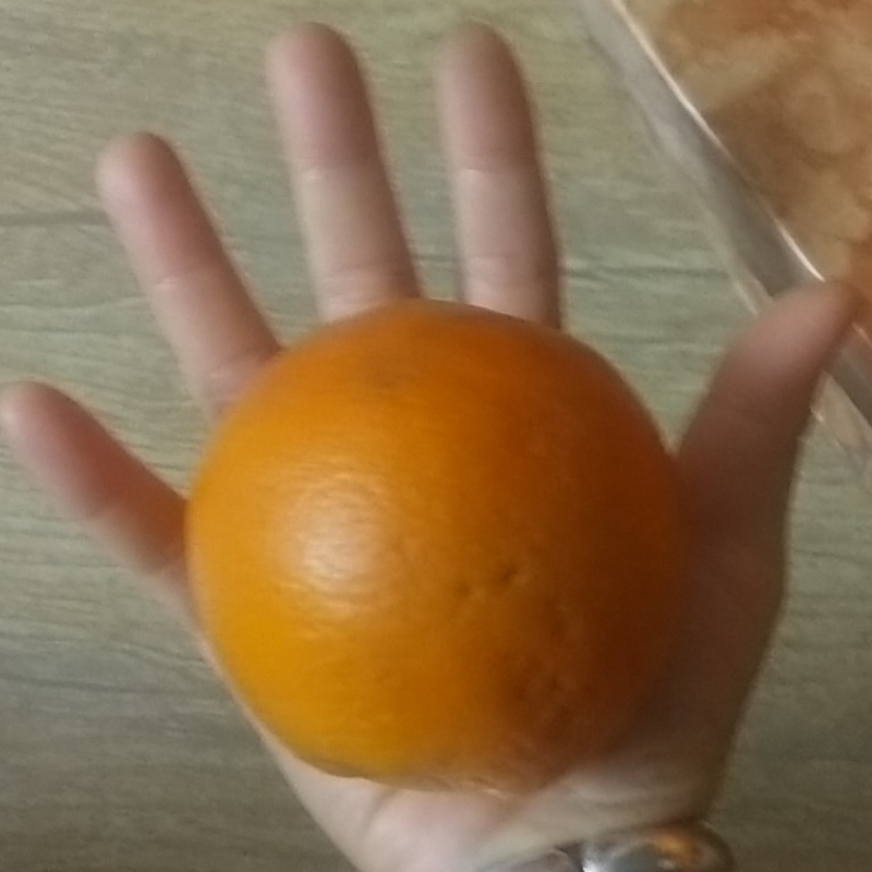 森哥来了