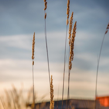 无人之岛的爱情