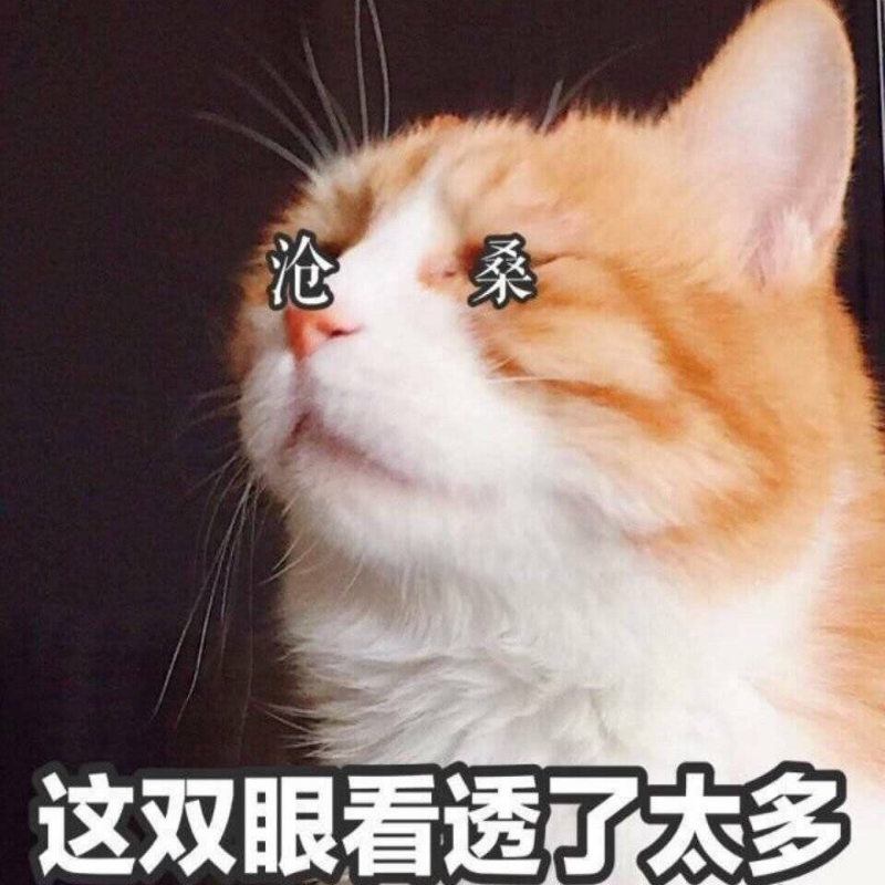 韩半