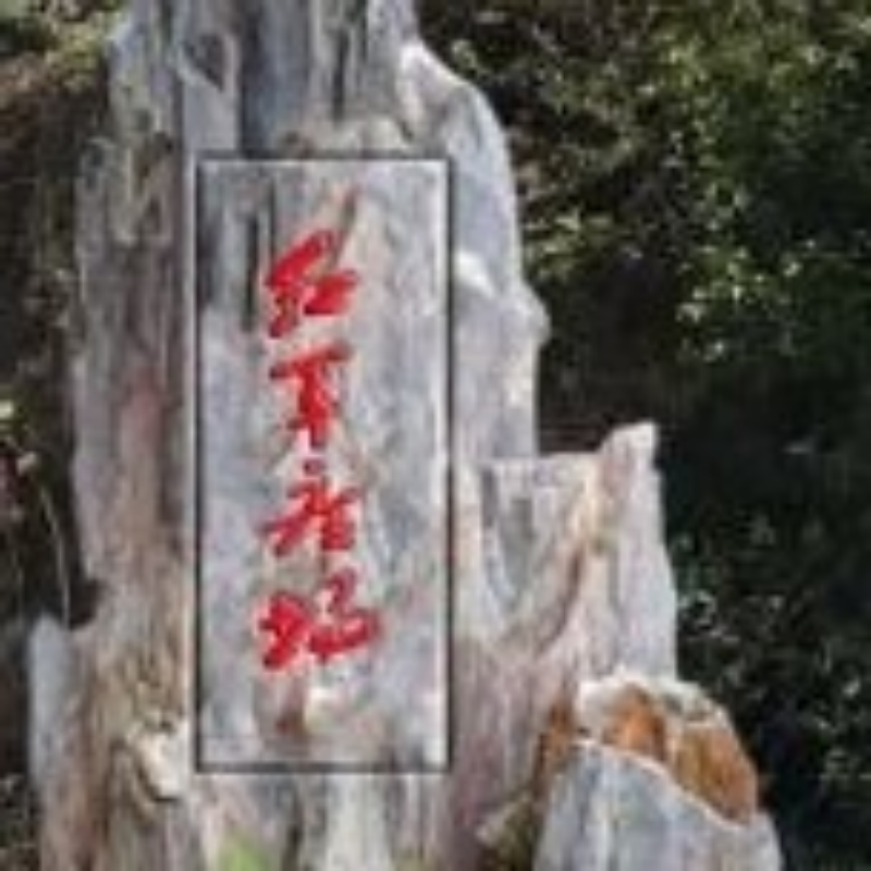 腾飞飛