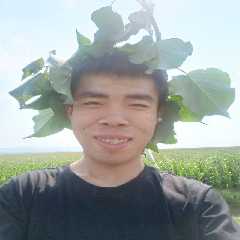 ‖灰太狼‖