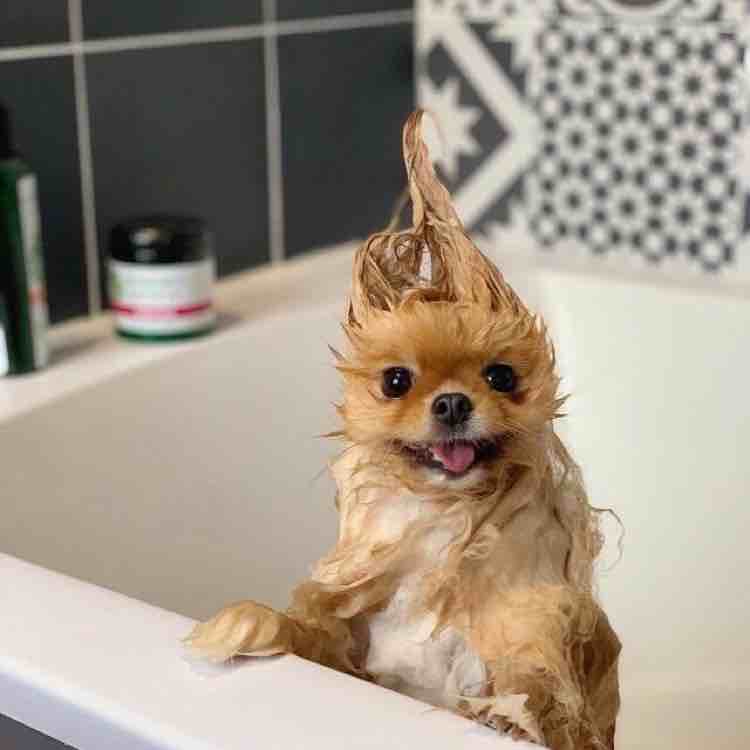 巴图犄了旮热