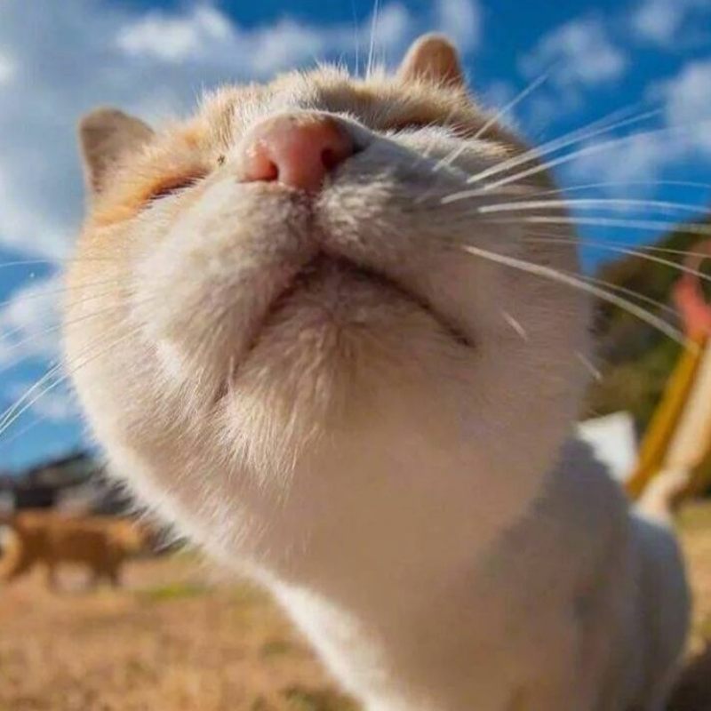 ♪馒头