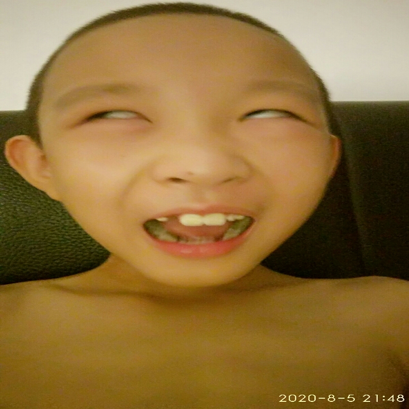 段禅伦