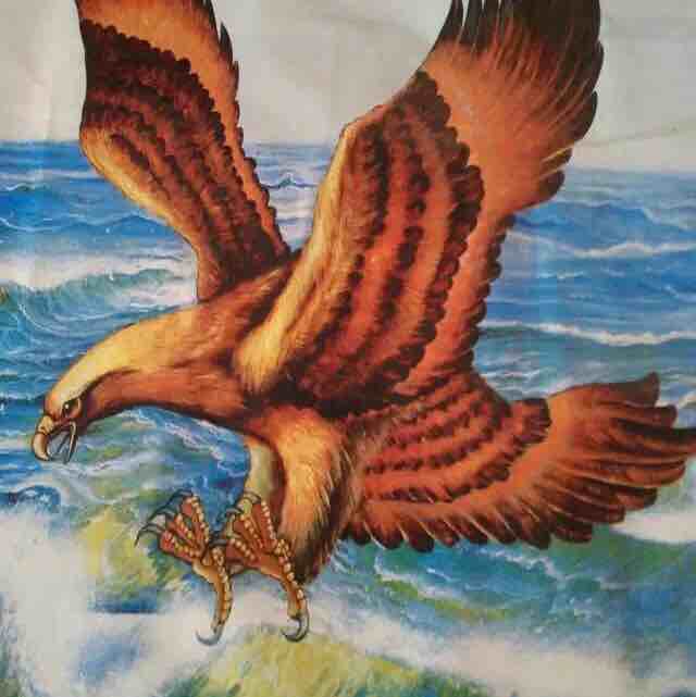 152xxxx2886