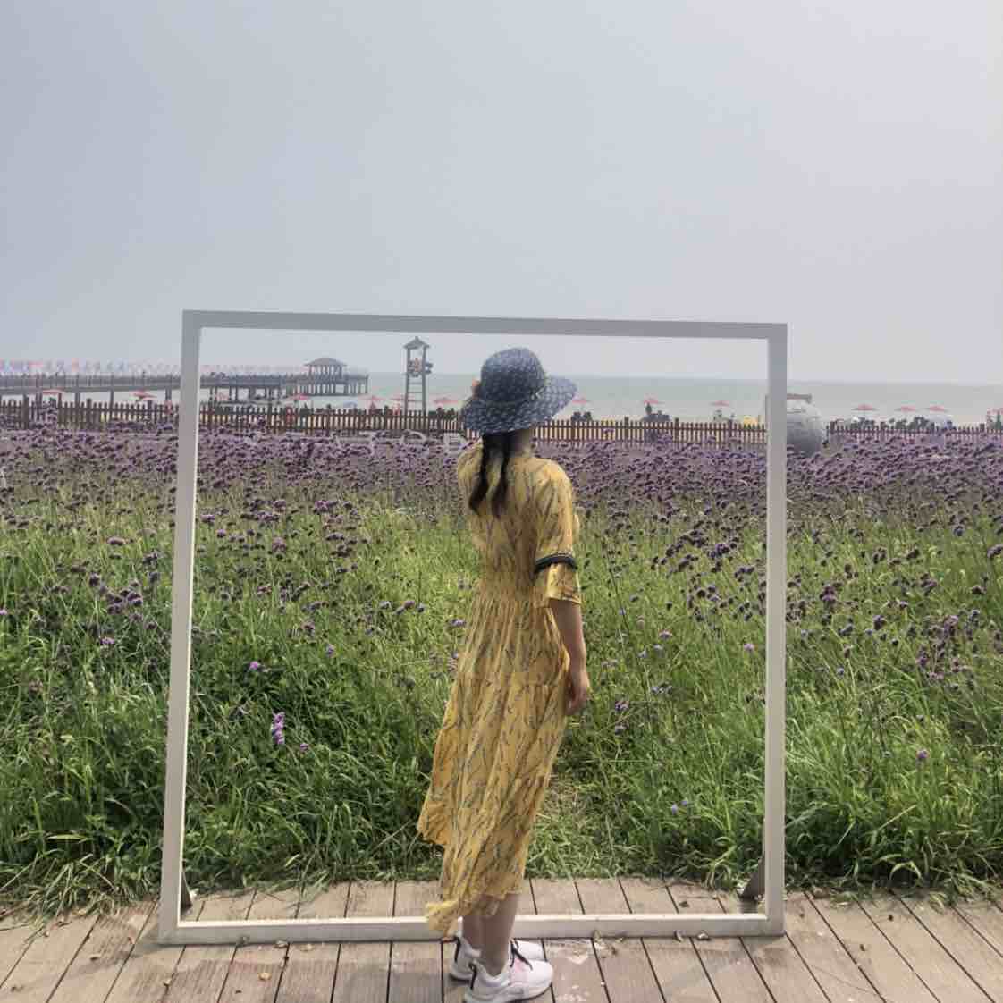 子非鱼