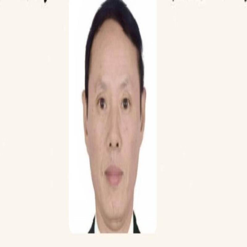 石象勤