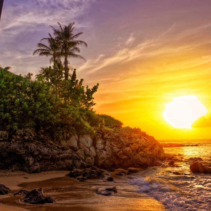 今夕是何年