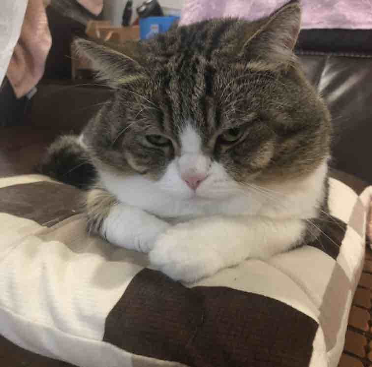 小虫虫