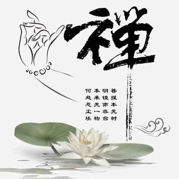 小白十三