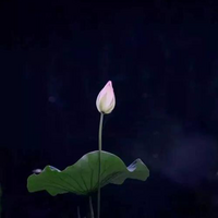 美好轻音乐